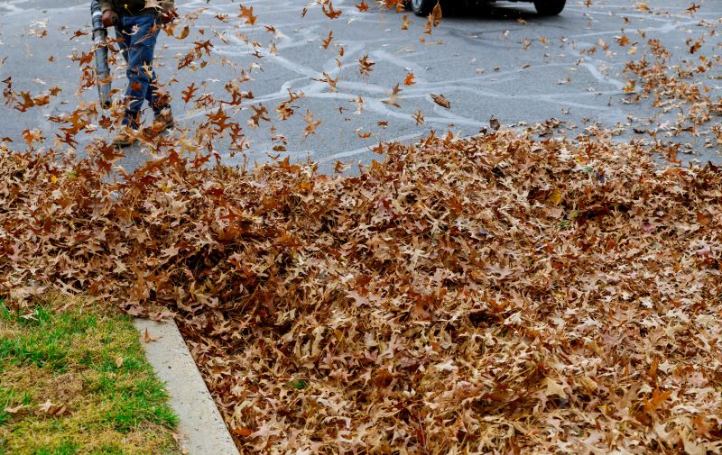 Leaf Removal