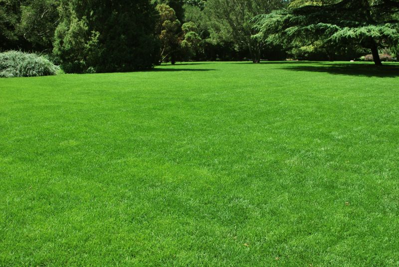 Lawn Management