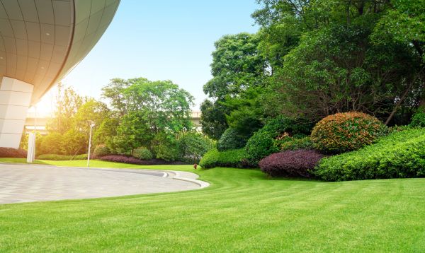Cost of Commercial Lawn Mowing in Bryan