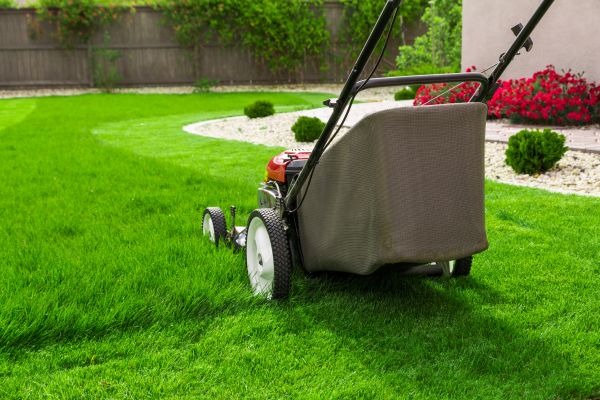 Cost of Lawn Mowing in Bryan