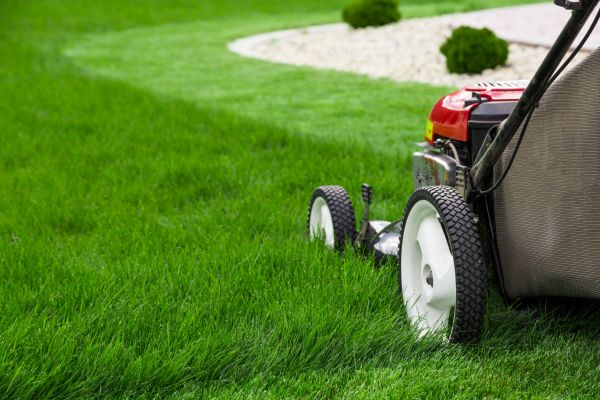 Cost of Mowing Service in Bryan