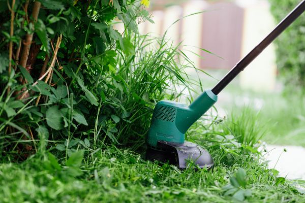 Cost of Weed Whacking in Bryan