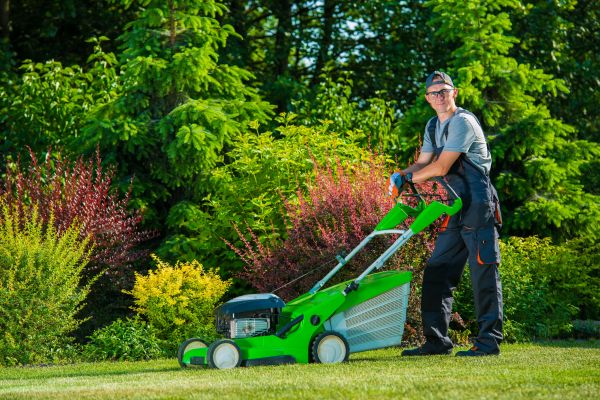 Yard Work Service in Bryan