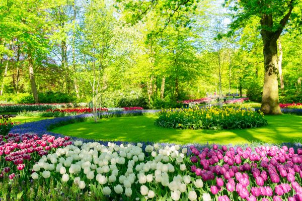 Cost of Spring Lawn Care in Bryan