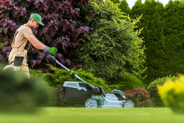 Lawn Management in Bryan