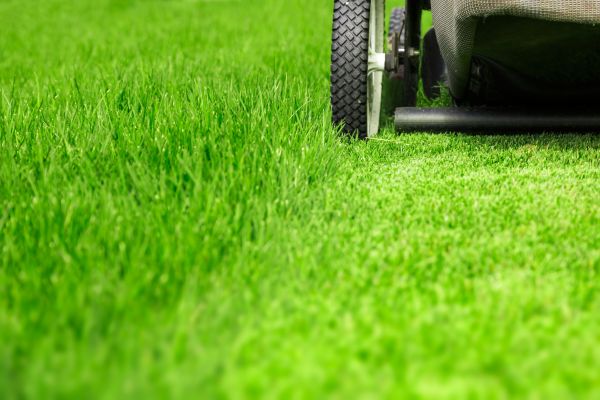 Weekly Lawn Care in Bryan