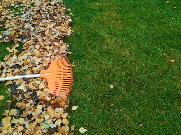 Fall Lawn Care in Bryan