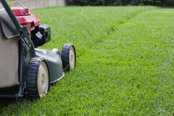 Cost of Spring Lawn Maintenance in Bryan